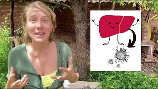 Chlorella Detox Safe or Dangerous Watch This Before You Try [upl. by Andri]