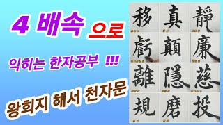 🌈왕희지 해서 천자문 202122 모아보기 독음 훈음 뜻풀이결구법붓의 운필공부 Calligraphy 書法 書道 [upl. by Haleeuqa547]