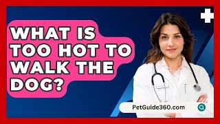 What Is Too Hot To Walk The Dog  PetGuide360com [upl. by Bael647]