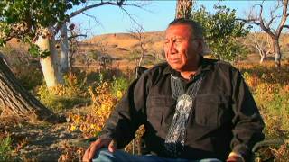 Chief Arvol Looking Horse Speaks of White Buffalo Prophecy [upl. by Cuthbert820]