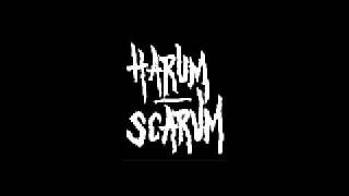 Harum Scarum  Corporate Pennies [upl. by Liahcim]