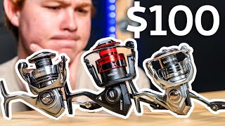 Best Spinning Reel for 100 in 2024  Nasci VS Exceler LT VS Fierce IV [upl. by Donell]