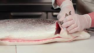 How to Fillet a Salmon [upl. by Jayson]