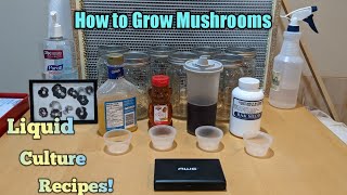 How to Grow Mushrooms Liquid Culture Recipes [upl. by Euginimod]