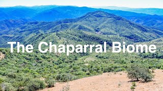 The Chaparral Biome [upl. by Abdu198]