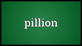 Pillion Meaning [upl. by Vinnie]