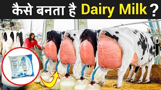 फैक्ट्री में कैसे बनती है डेरी दूध  Process Of Dairy Milk Production [upl. by Enyledam]