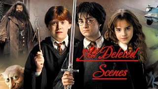 Harry Potter All Deleted Scenes HDEVsub Harry Potter and the Chamber of Secrets  Deleted Scenes [upl. by Millar]