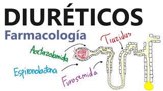 Farmacología  Diuréticos Mecanismo de acción indicaciones farmacocinética y efectos adversos [upl. by Imoen306]