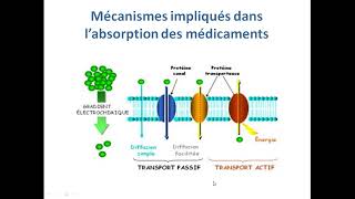 cour2 absorption des médicaments [upl. by Anerat]