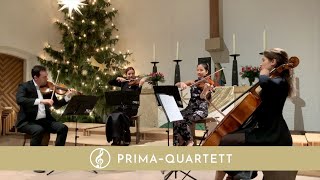 Ankunft der Königin von Saba von Händel  Einzug in die Kirche  Das PrimaStreichquartett [upl. by Eam]