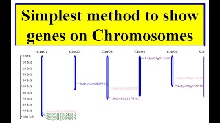 Gene location on chromosome MG2C [upl. by Basilius]