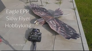 Eagle EPP Slow Flyer Hobbyking Unboxing Build Maiden Flight [upl. by Adnuhsal60]