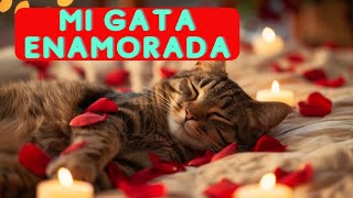 Celo de gata ¡Controla la situación con estos secretos 🔴Solución Comprobada celodetugata gatas [upl. by Edyth474]