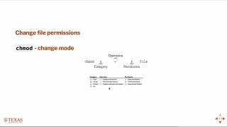 Basic Unix Commands  File Attributes [upl. by Doerrer134]