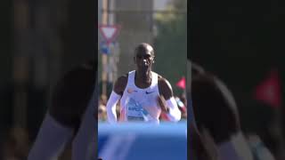 BMW MARATHON 2023 olympics athletics marathon track run running sport trackandfield [upl. by Anatak]