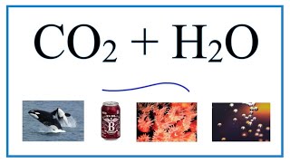 CO2  H2O Carbon dioxide  Water [upl. by Llenrahs]