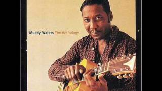 Muddy Waters  Mannish Boy [upl. by Calesta]