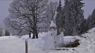 Buochserhorn mit Schneeschuhen  25 Jan 2017 [upl. by Aihtnys932]