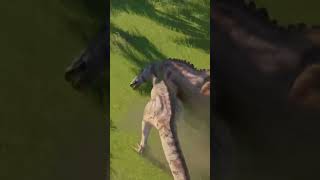 QIANZHOUSAURUS vs EDMONTOSAURUS jurassicworldevolution2 jurassicworld gaming dinosaur fighting [upl. by Ongineb]