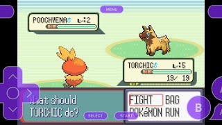 Killing the uncatchable shiny pooch 💔💔 [upl. by Atilamrac]