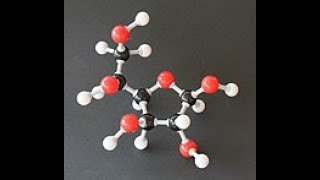 Biological molecules  condensation amp hydrolysis [upl. by Papotto586]