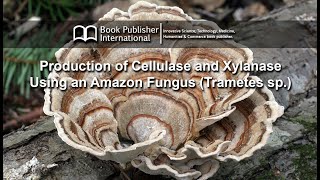 Production of Cellulase and Xylanase Using an Amazon Fungus Trametes sp [upl. by Laure]