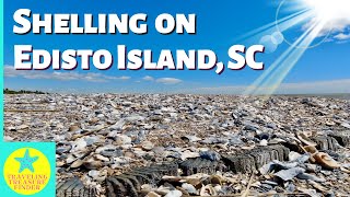 South Carolina Shelling on Edisto Island  Beautiful Beach and tons of shells [upl. by Bopp]