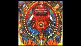 Full Album Praxis  Transmutation [upl. by Alokin735]