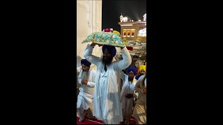 Sukhasan Sahib Sewa Darbar Sahib 🙏🙏  Golden Temple  Goosebumps 😍 [upl. by Ramhaj]