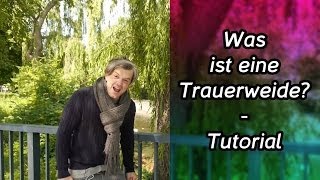 Was ist eine Trauerweide  Tutorial [upl. by Roscoe]