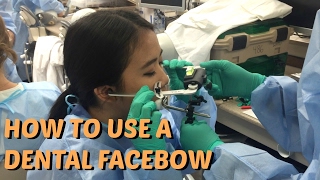 How To Use A Dental Facebow  Brittany Goes to Dental School [upl. by Eceinehs]