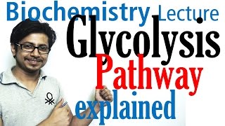 Glycolysis biochemistry [upl. by Imled]