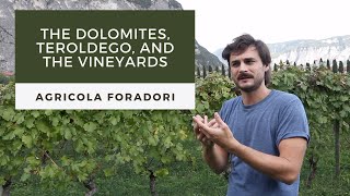 Agricola Foradori the Vineyards the Dolomites and the Teroldego Wine [upl. by Jenda]