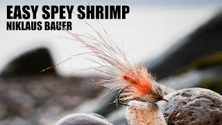 Easy spey shrimp  Sea trout fly by Niklaus Bauer [upl. by Haimaj184]