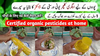 Free Pesticides Spray Making At Home  Fertilizer for Vegetables  Organic Pesticides For Plants [upl. by Schnapp]