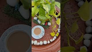 Garden ke liye waterproof table banaye viralvideo outofwaste gardeningtips diy vita [upl. by Bud]