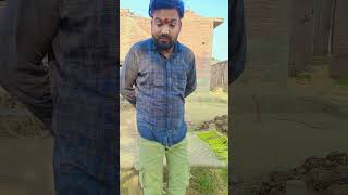 Main Ghar aaya Banda jama niche baliyecomedy comedyfilms funny [upl. by Whalen783]