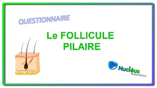 Quiz  Le follicule pilaire [upl. by Pantia]