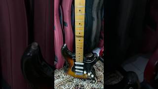 FENDER STRATOCASTER STANDARD MEXICO‼️fenderstratocaster [upl. by Yunfei]