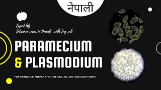 paramecium and plasmodium  protozoans  entrance preparation Nepal [upl. by Richmond863]