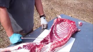 Butchering A Lamb [upl. by Atiugram567]