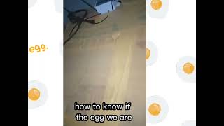 How to know if an incubated egg will hatch or not [upl. by Ludwog]