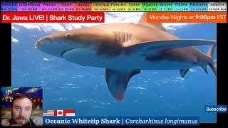 Dr Jaws LIVE 93 Oceanic Whitetip Shark Study Party [upl. by Service980]