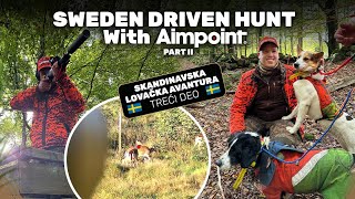 Pogonski lov Švedska 2  Skandinavska lovačka avantura 3Sweden Driven hunt 2Scandinaviahunt 3 E218 [upl. by Aerdnaxela]