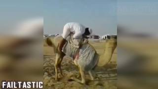 Arabic Funny Video Collection  Failtastic 2017 [upl. by Yenaj]