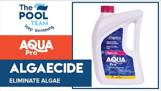 Remove Algae fast  Aqua Pro Algaecide [upl. by Fredek]