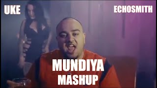 Mundian Tu Bach Ke  Panjabi MC  UKE X ECHOSMITH MASHUP [upl. by Amitarp129]