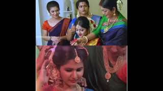 thatteem mutteem meenakshi wedding vs uppum mulakum lechu wedding ♥️ [upl. by Corwin]