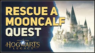 Rescue a Mooncalf Hogwarts Legacy [upl. by Linus991]